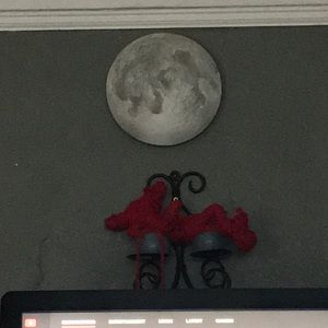 Meet your Posher, Roque